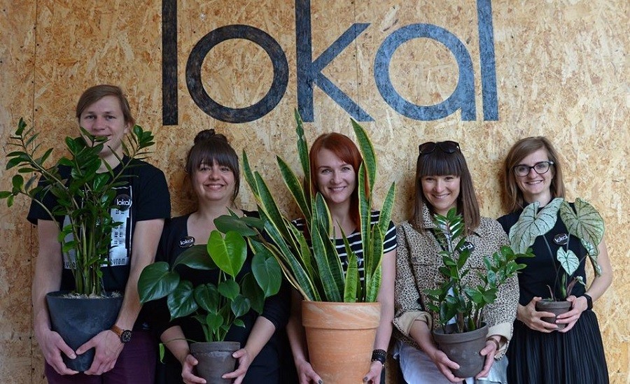 Lokal W Bytomiu Prowadzi... Zbiórkę Roślin