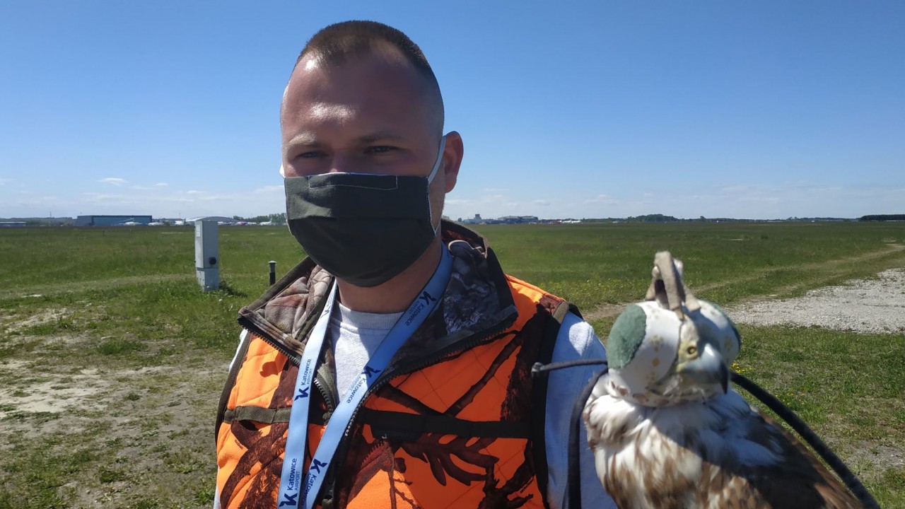 Eskadra do zadań specjalnych, czyli sokolnik w Katowice Airport [ZDJĘCIA]