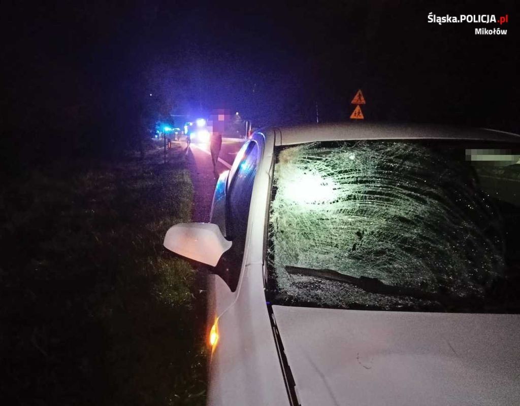 Tragedia Na Przejściu Dla Pieszych