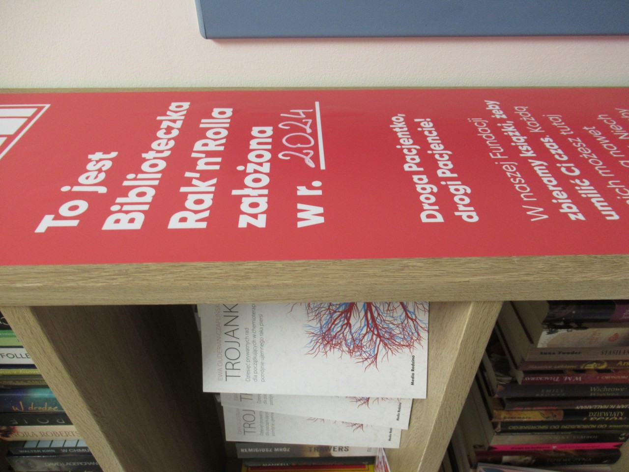 Pierwsza - Nie-Pierwsza Taka Biblioteczka