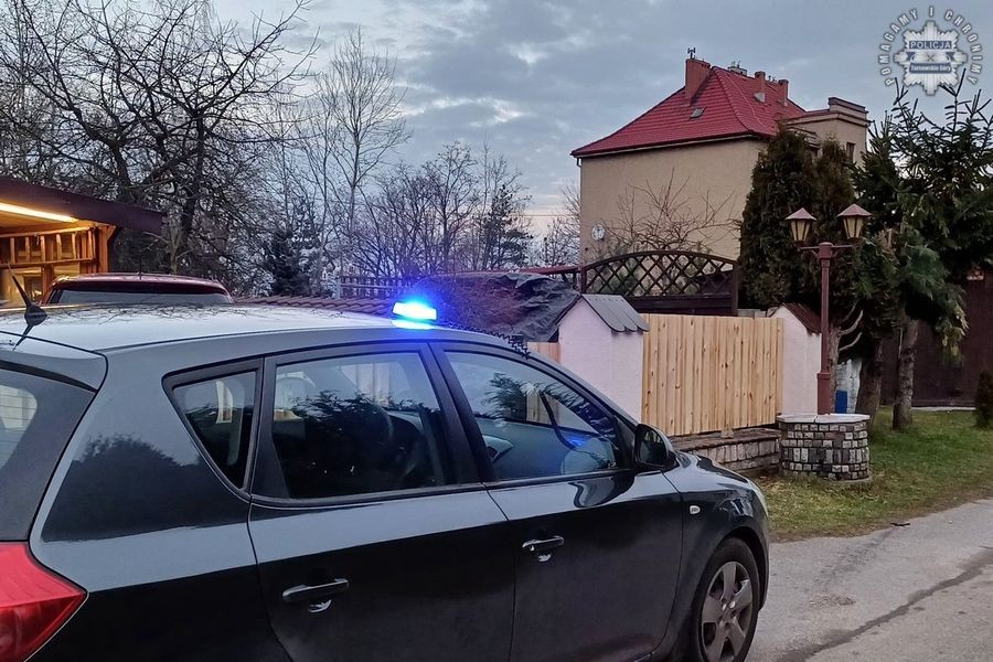 Policjanci zastrzelili agresywnego psa
