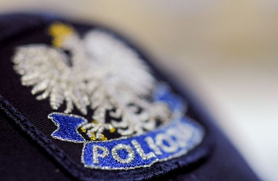 Jechał Samochodem, Do Którego Przywiązał Dwa Psy