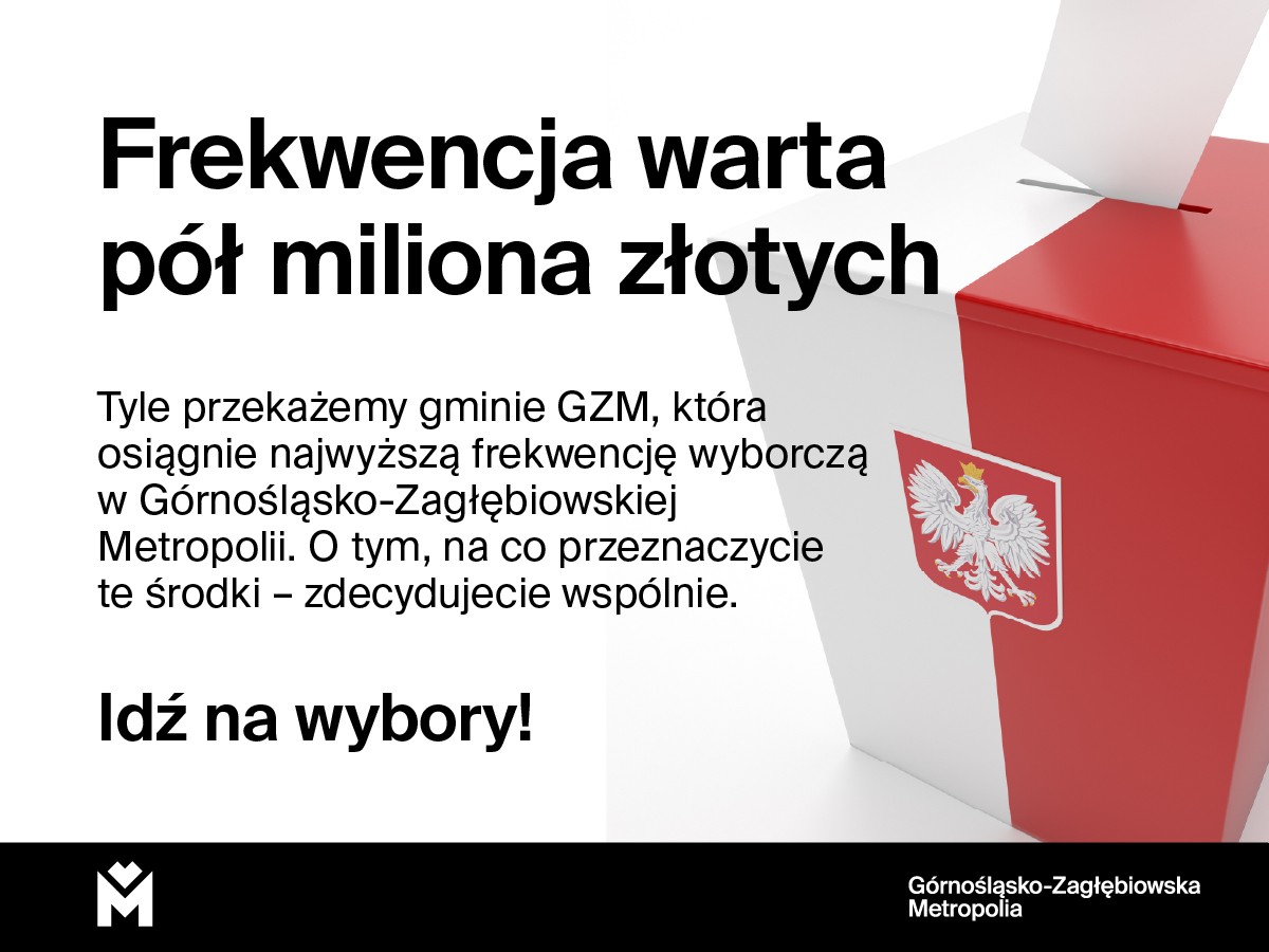 Pół Miliona Złotych Za Udział W Wyborach? Jest Taka Obietnica!