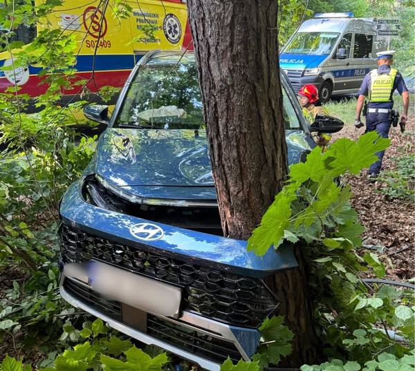 Kobieta zasnęła za kierownicą i uderzyła w drzewo