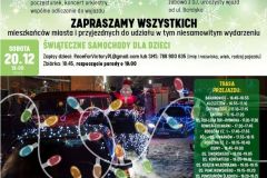 ZJS2