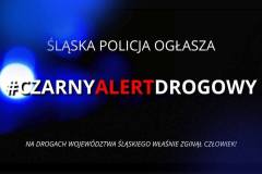Czarny-Alert-Drogowy