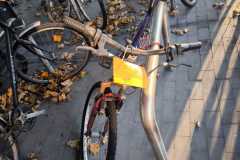 porzucone rowery w Tychach