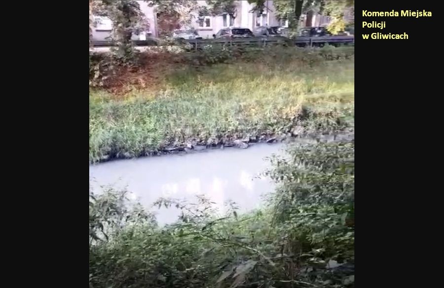 Tło