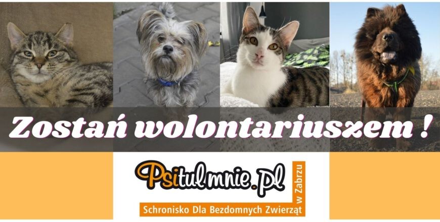 Tło