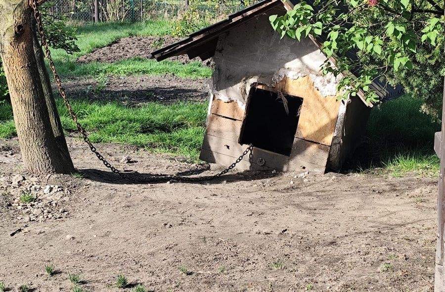 Tło