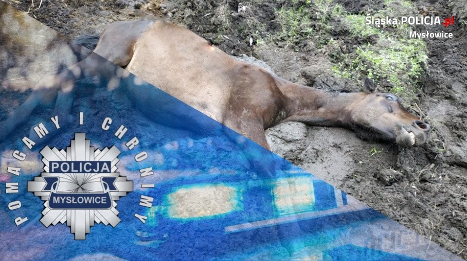 Tło