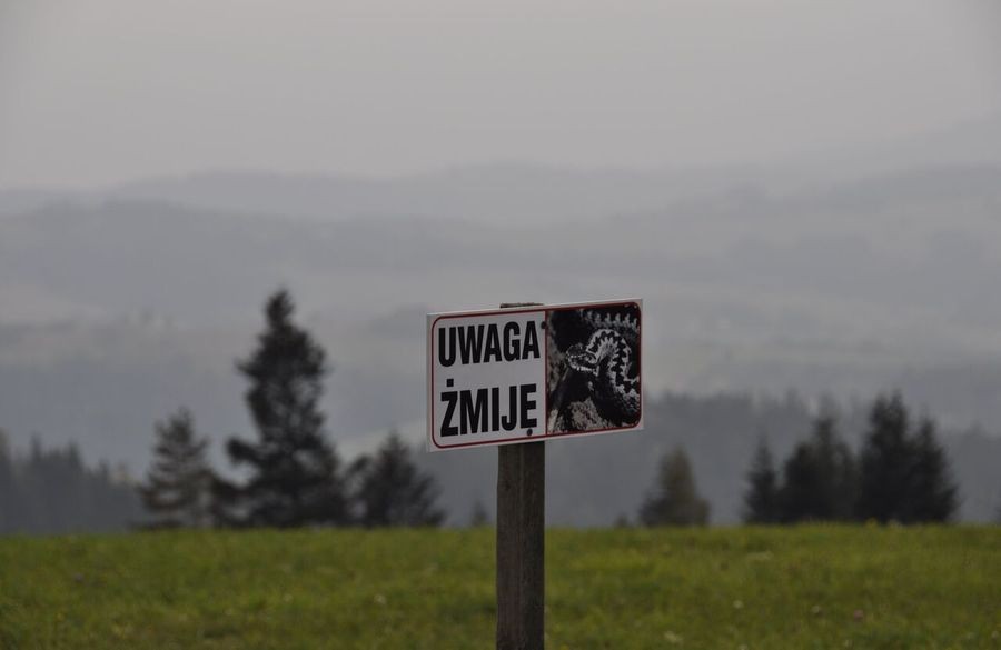 Tło