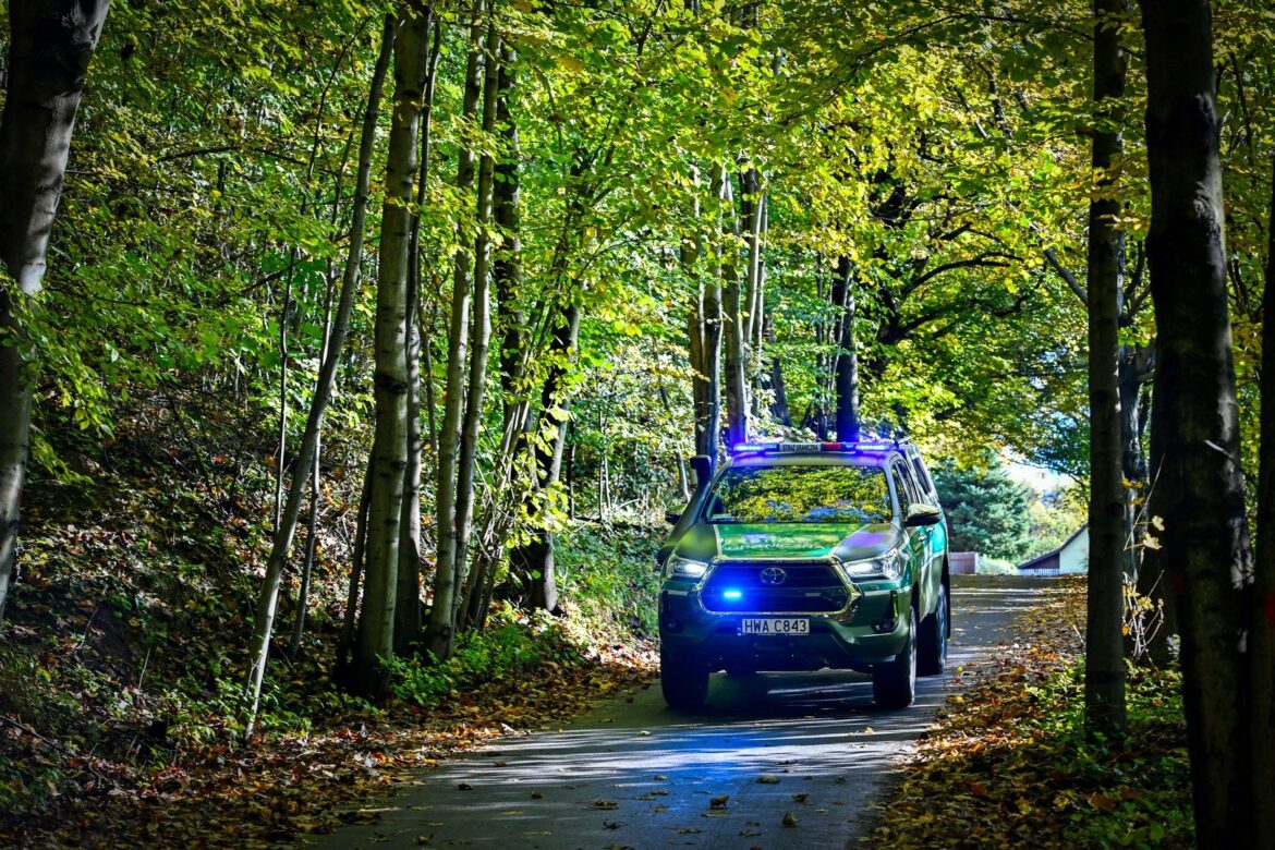 Śląskie: 273 cudzoziemców pracowało nielegalnie. Fot. SG