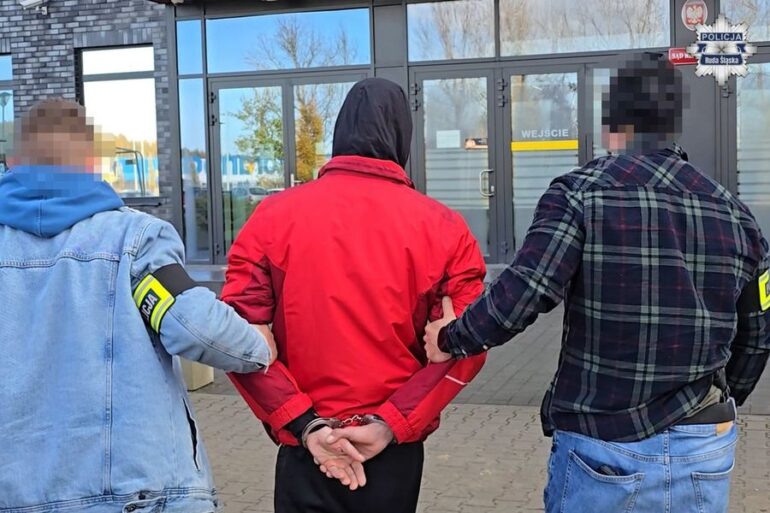 Sprawca wypadku aresztowany. Chodzi o zdarzenie z minionej niedzieli. Trzy najbliższe miesiące spędzi w areszcie 31-latek, który na ulicy Sieronia, 31-latek cofając samochodem dostawczym, potrącił pieszego, który zmarł na miejscu pomimo wysiłku ratowników. Podejrzany uciekł z miejsca zdarzenia.