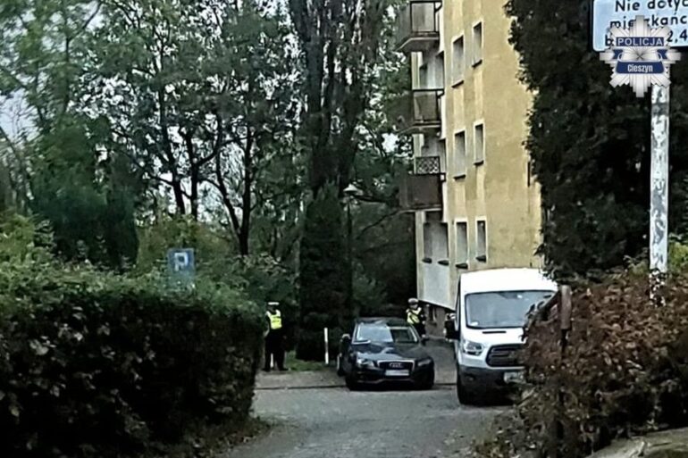 Potrącenie pieszego na parkingu. Do tego tragicznego w skutkach wypadku doszło dziś rano w Cieszynie. 27-letni kierowca cofając samochodem dostawczym potrącił znajdującego się za pojazdem 88-letniego mężczyznę. W wyniku odniesionych obrażeń pieszy zginął na miejscu.