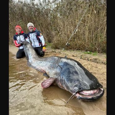 Rekordowy sum w Rybniku