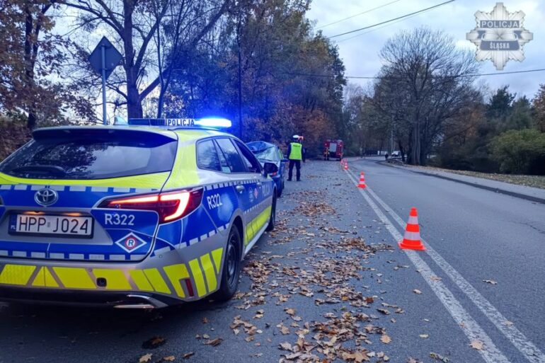53-letni pracownik potrącony w Jastrzębiu-Zdroju odniósł śmiertelne obrażenia. Do wypadku doszło na DW937. Mężczyzna prowadzący prace porządkowe został potrącony przez kierowcę fiata - 36-letniego mieszkańca powiatu pszczyńskiego.