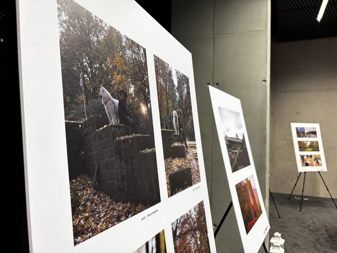 Wystawa w MCK. To zdjęcia z Domu Aniołów Stróżów. Fot. Materiały prasowe