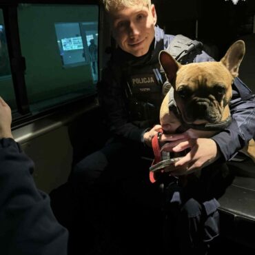 Policjanci znaleźli psa przywiązanego do drzewa (fot.policja)