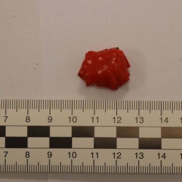 Dwie kobiety zakupują coś i rozsypują  na trawniku - taką informację odebrali od świadka policjanci z Sosnowca. Zgłaszający miał obawy, że ktoś truje zwierzęta. Funkcjonariusze zajęli się sprawą.