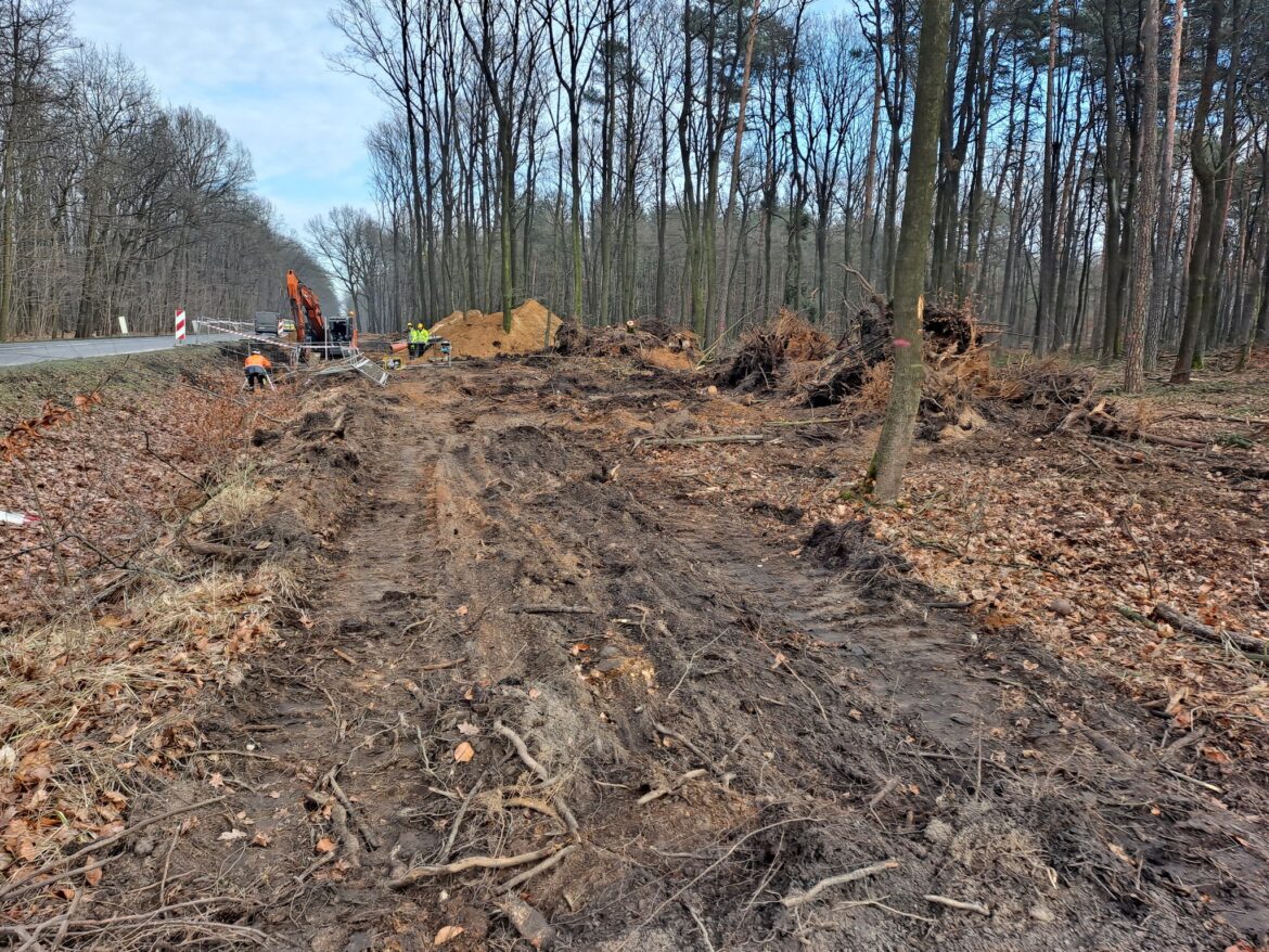 Przebudowa ul. Mikołowskiej w Rybniku trwa. Sprawdź zakres inwestycji, etapy prac, wysokość dofinansowania unijnego oraz korzyści dla mieszkańców i środowiska.