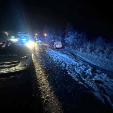 Pijany kierowca namierzony przez policjantów na DK 86 (fot.policja)