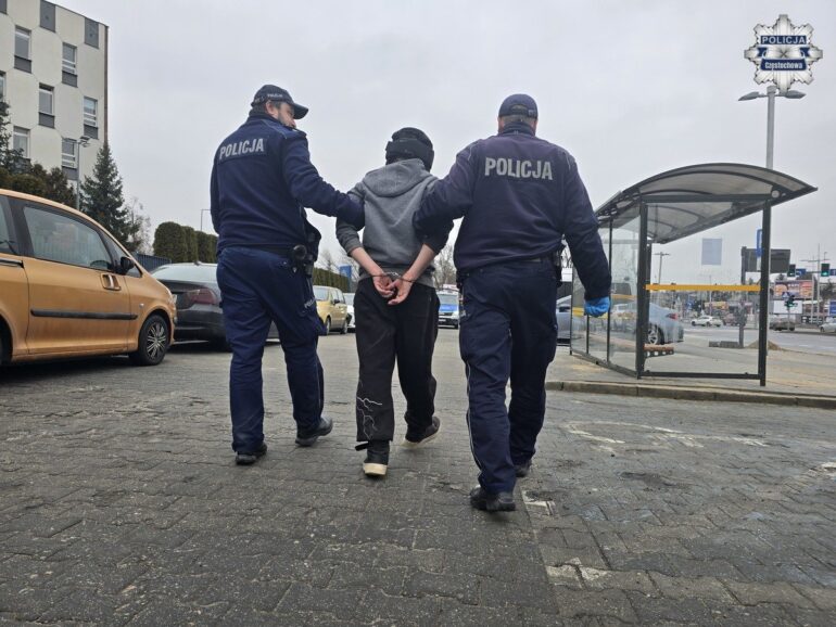 Wnuczek skatował babcię. Bił ją po głowie nawet krzesłem! (fot. Policja Śląska)