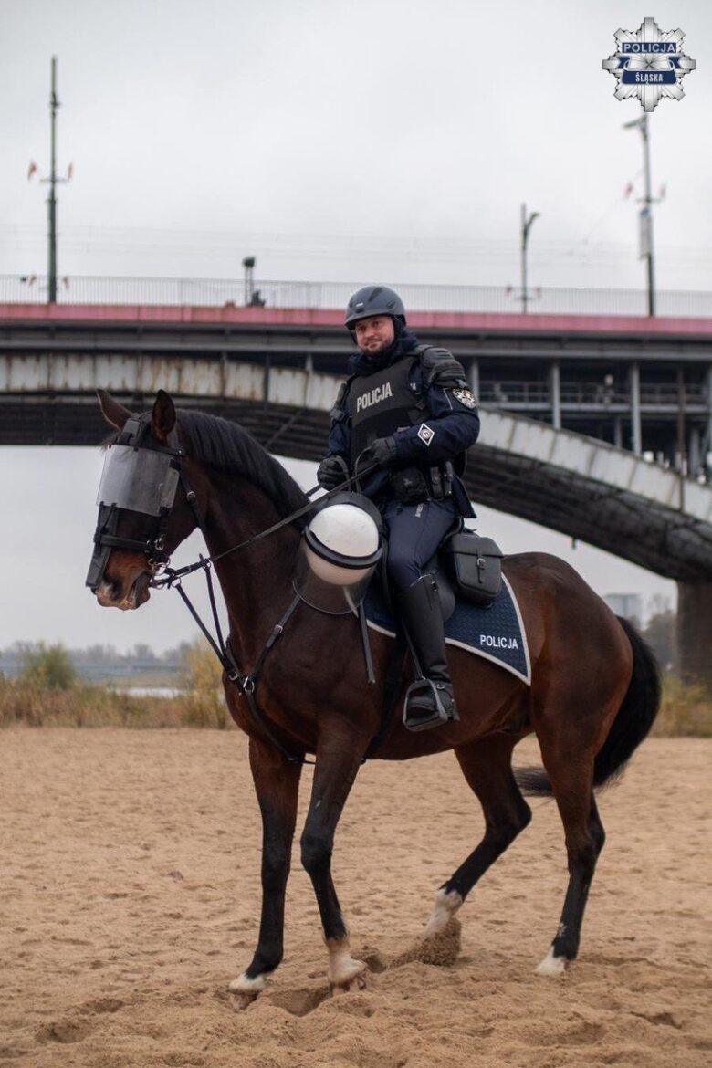 Dawid Hadryś, konny policjant śląskiego garnizonu z wyjątkową nagrodą (fot.policja)