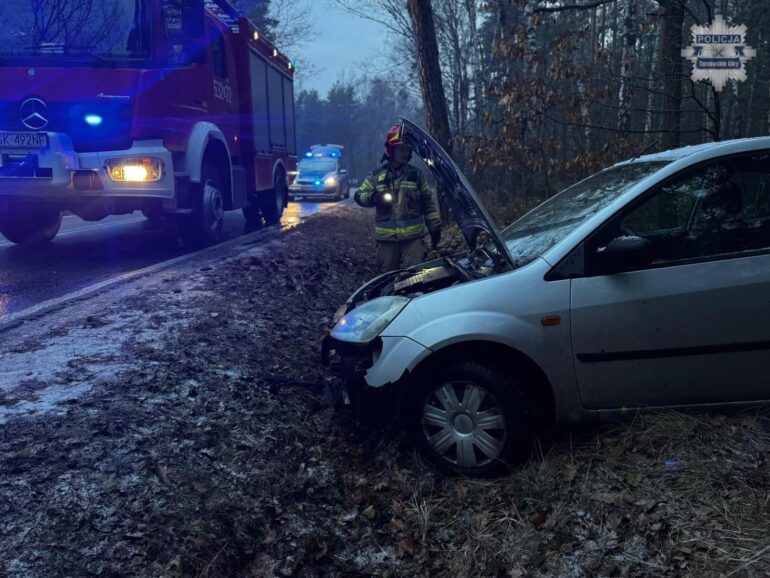W Świerklańcu (DW912 - Ostrożnica) doszło do zdarzenia z udziałem kierującego samochodem osobowym (fot. KPP Tarnowskie Góry)