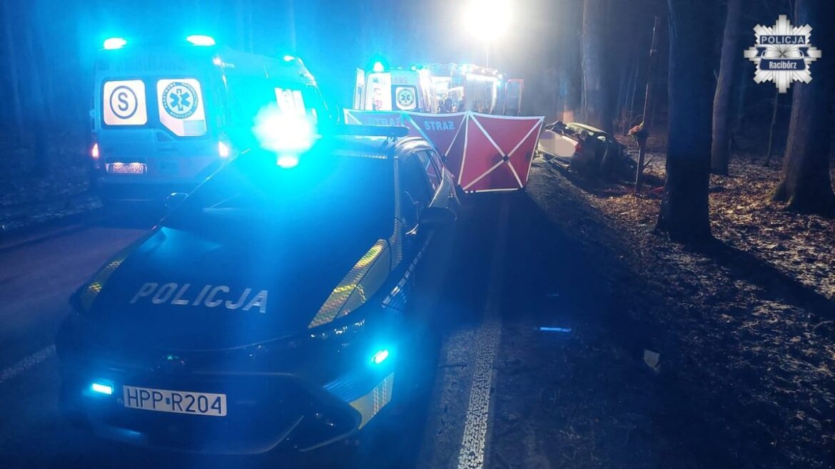 Koszmarny wypadek w Rudach! Kobiety nie udało się uratować... (fot. Policja Śląska)