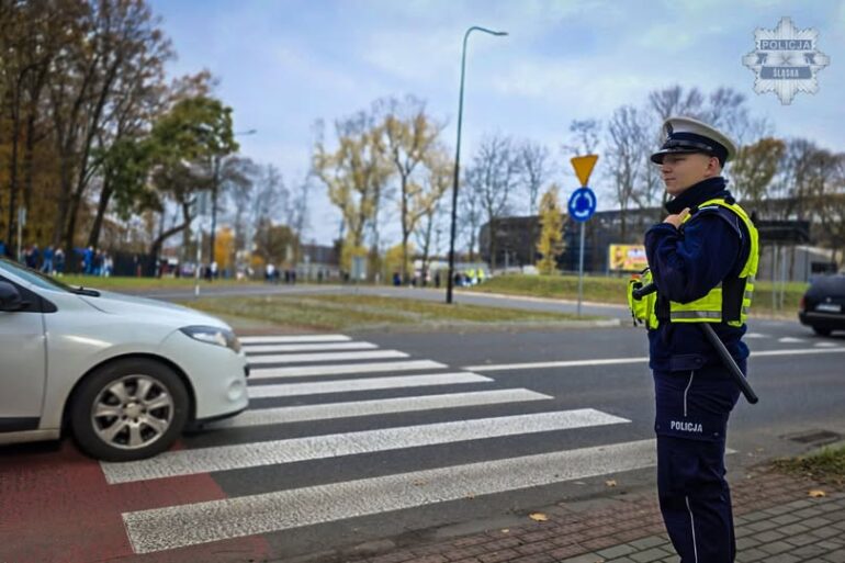 Ostatni weekend ferii: Policja apeluje o bezpieczeństwo na drogach (fot. Policja Śląska)