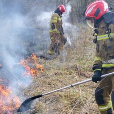 Pożar traw. Płonęły nieużytki w Bobrownikach (fot. KW PSP Katowice)