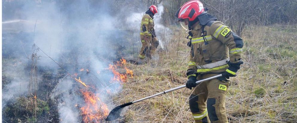 Pożar traw. Płonęły nieużytki w Bobrownikach (fot. KW PSP Katowice)