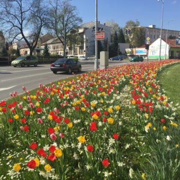 Tylko do 31 marca mieszkańcy mogą zgłaszać pomysły do Zielonego Budżetu Miasta Bierunia. W tym roku miasto przeznaczyło na zielone projekty 150 tysięcy złotych, a maksymalna wartość jednego zadania wynosi 40 tysięcy złotych. To już naprawdę ostatni moment, aby przygotować wniosek, skonsultować kosztorys i złożyć propozycję.