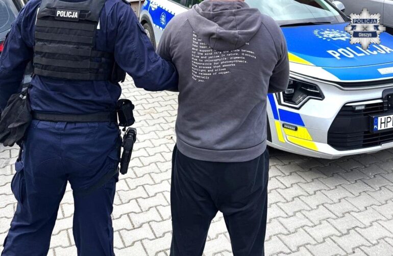 Jaworzynka: pacjent zaatakował ratowników medycznych. Grozi mu do 5 lat więzienia. Fot. Policja Śląska