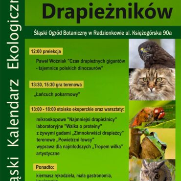 Radzionków: wydarzenia w Śląskim Ogrodzie Botanicznym – dinozaury, warsztaty i wyprawy terenowe