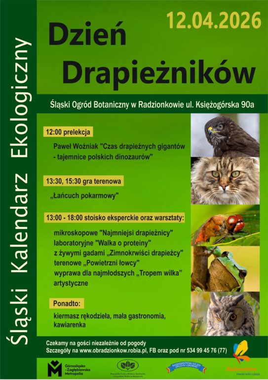 Radzionków: wydarzenia w Śląskim Ogrodzie Botanicznym – dinozaury, warsztaty i wyprawy terenowe