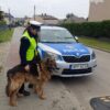 Owczarek „wybrał” policjantkę! Nietypowa interwencja w Będzinie