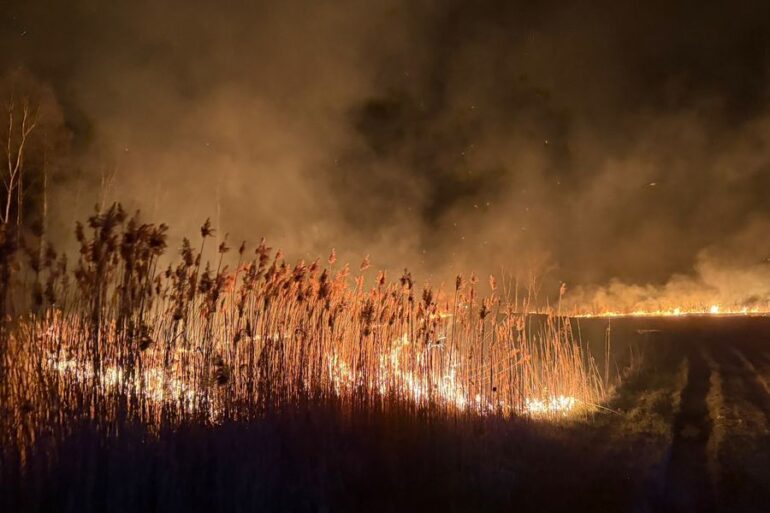 Strażacy opanowali duży pożar nieużytków w Lędzinach, na granicy z Chełmem Śląskim. Paliło się tam w sumie 11 hektarów.