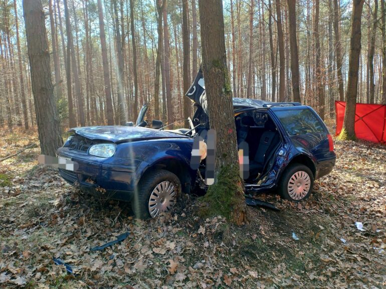Śmiertelny wypadek miał miejsce między miejscowościami Kuźnia Raciborska a Ruda Kozielska