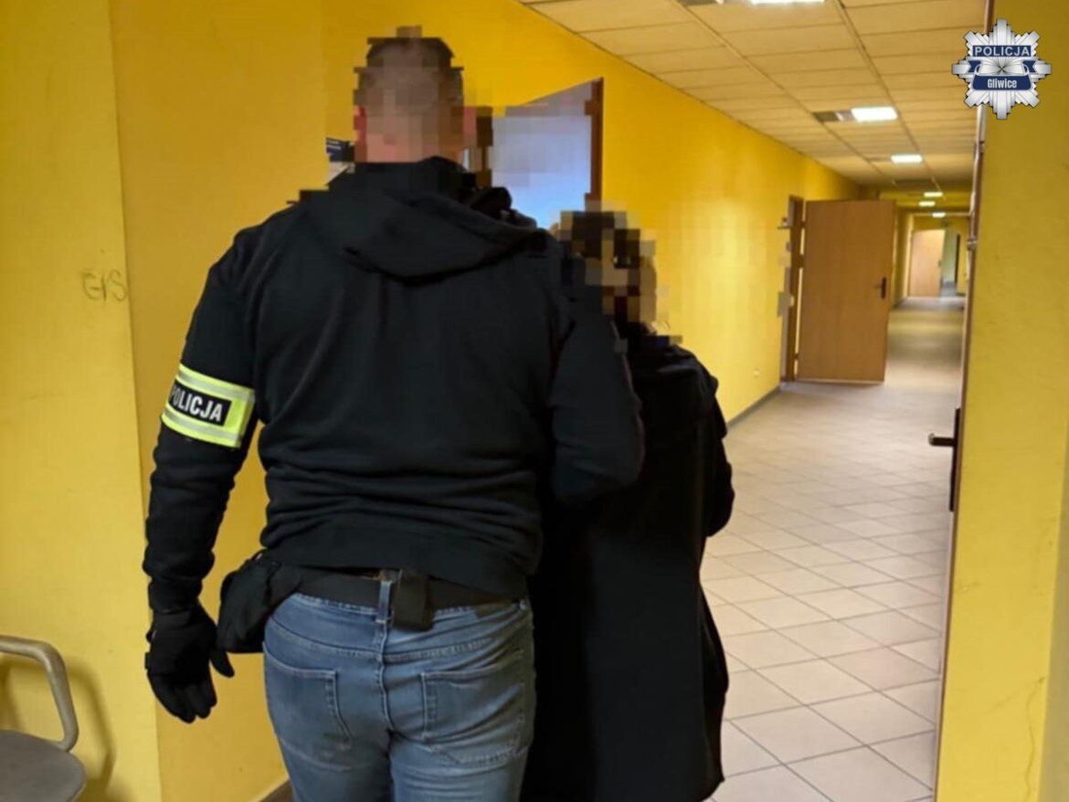 Gliwice: Opiekunka okradła zmarłego seniora? Policja znalazła u niej prawdziwy skarb. Fot. Policja Gliwice