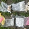 Kryminalni uderzyli w narkobiznes w Sosnowcu. W altance znaleźli kilogramy narkotyków
