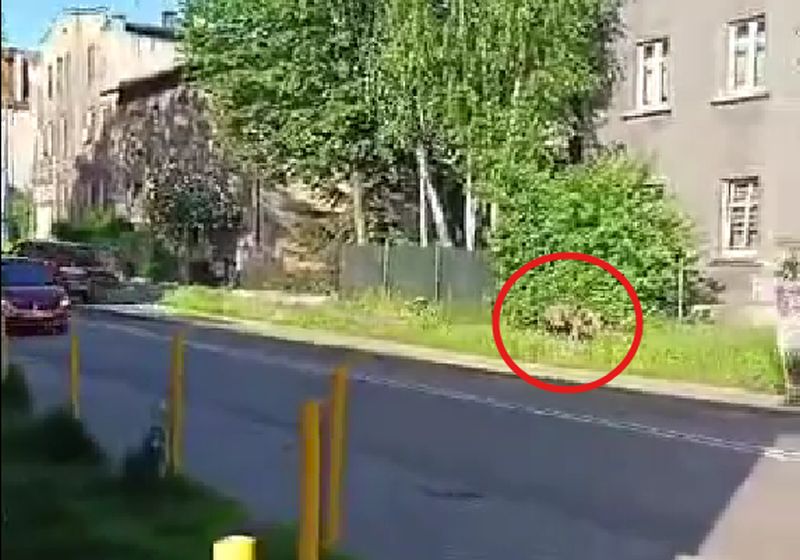 Tło