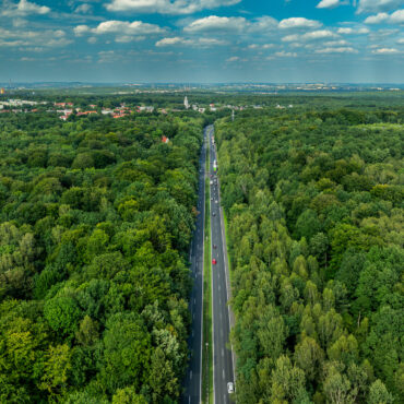 Las Murckowski to zielone płuca Katowic_fot. R. Kaźmierczak