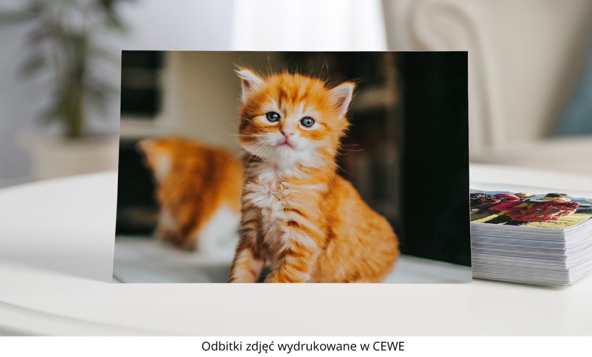 Tło