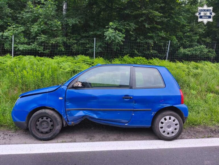Jechał wężykiem po DK 88. Świadek ruszył za VW - w środku narkotyki i młoda pasażerka. Fot. Policja Gliwice