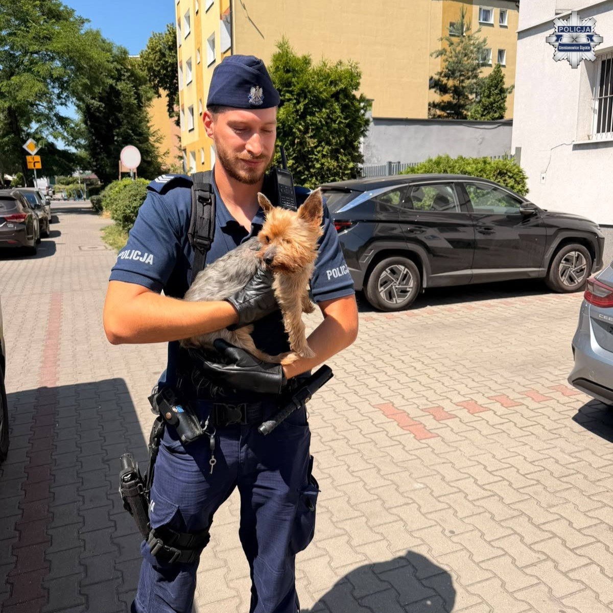 Tło
