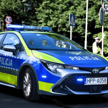 W wyniku ataku psów ciężko pogryziona została 8-letnia dziewczynka. Fot. Policja Śląska