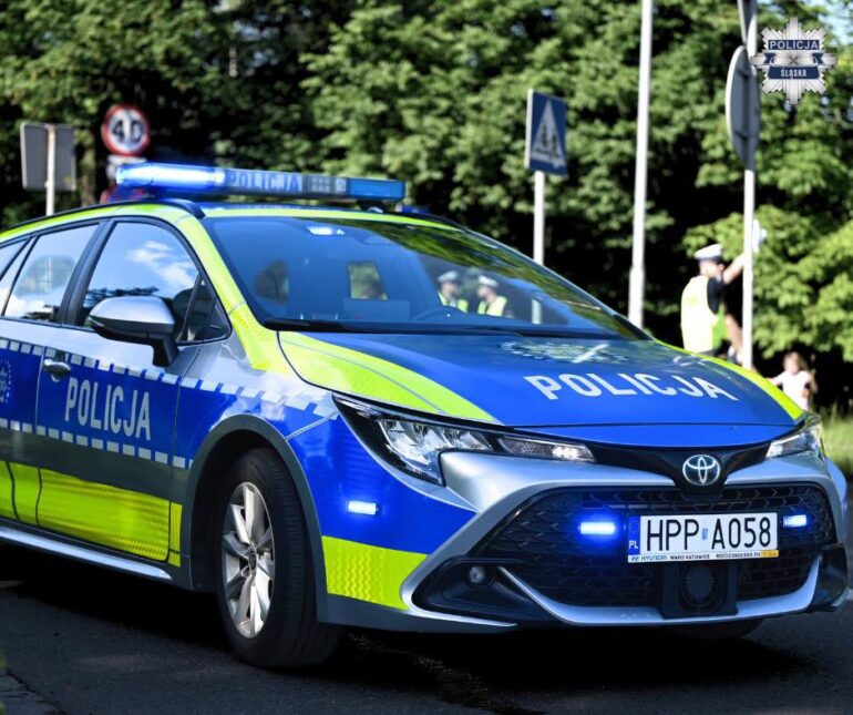 W wyniku ataku psów ciężko pogryziona została 8-letnia dziewczynka. Fot. Policja Śląska