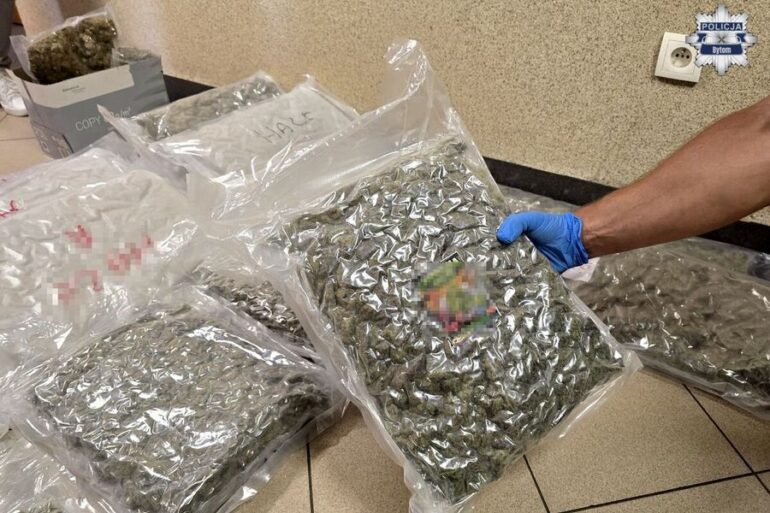 Sukces śląskich policjantów. Funkcjonariusze zarekwirowali kilkadziesiąt kilogramów środków odurzających. Wiadomo już, że to był przemyt narkotyków z Holandii.